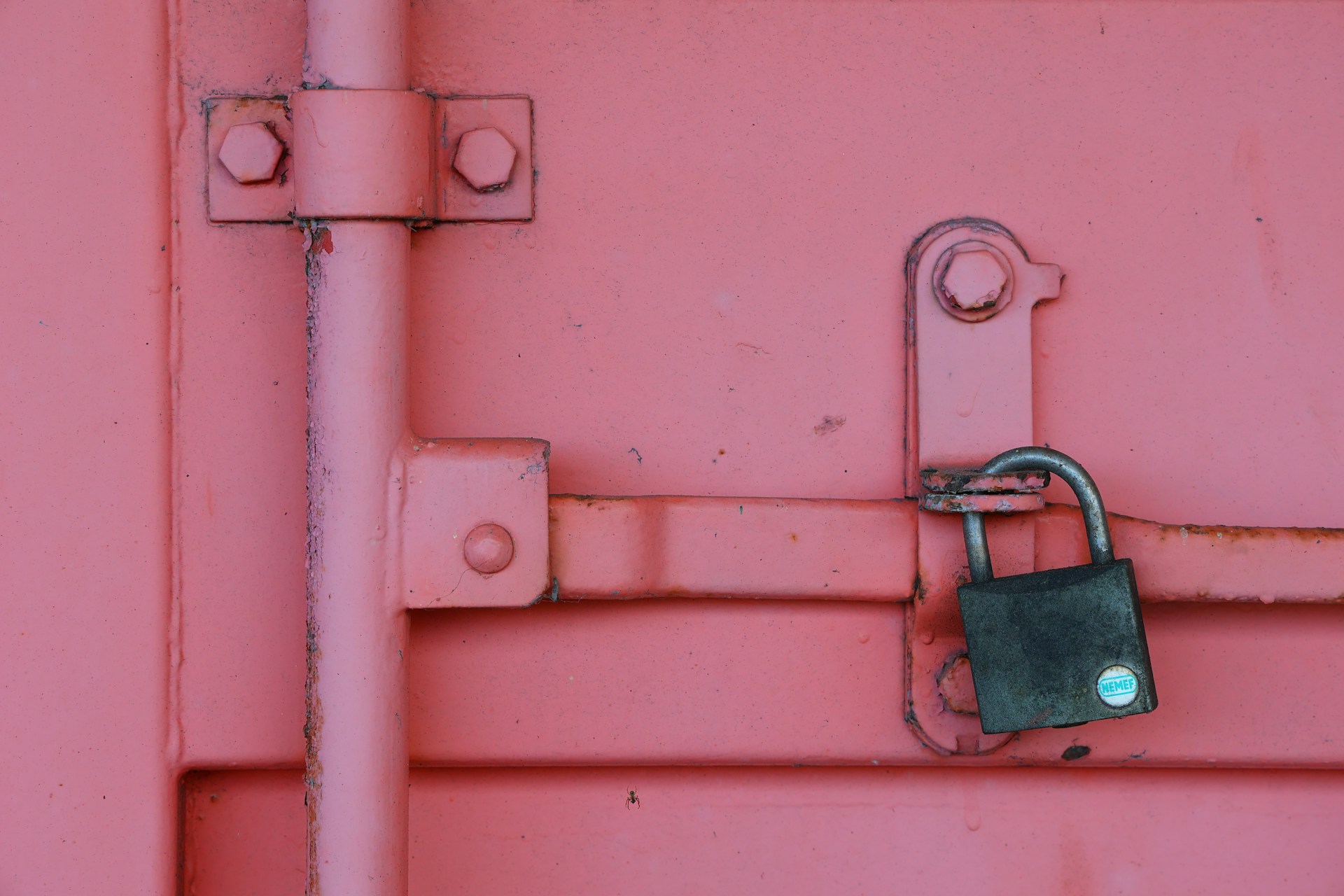 Questions to Ask Before Hiring Container Transporters