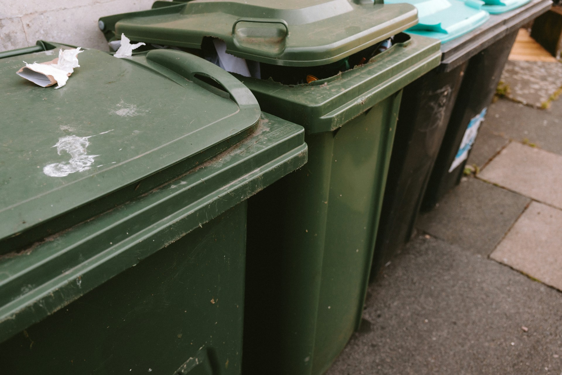 Simple Steps for a School Container Disposal Service That Works